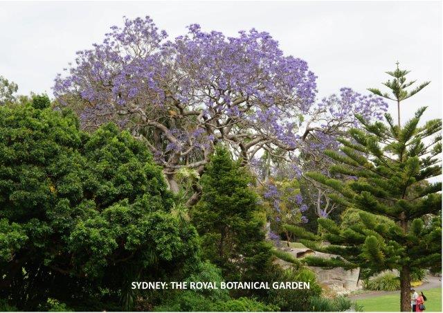 Royal Botanical Garden 1