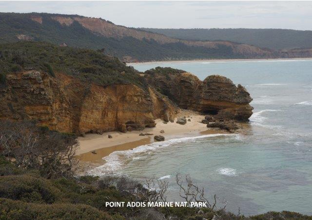 Point Addis 1