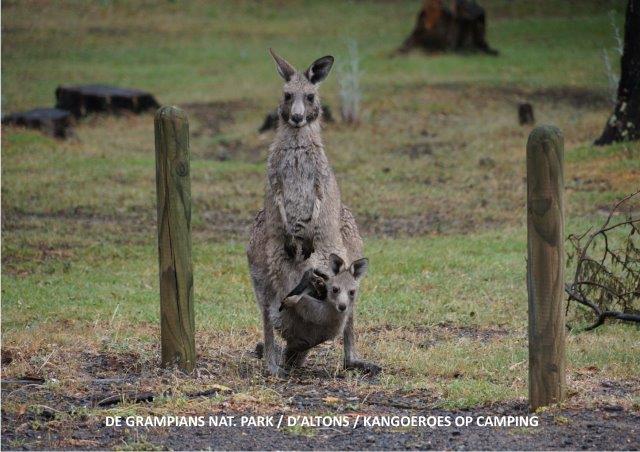 Grampians 1